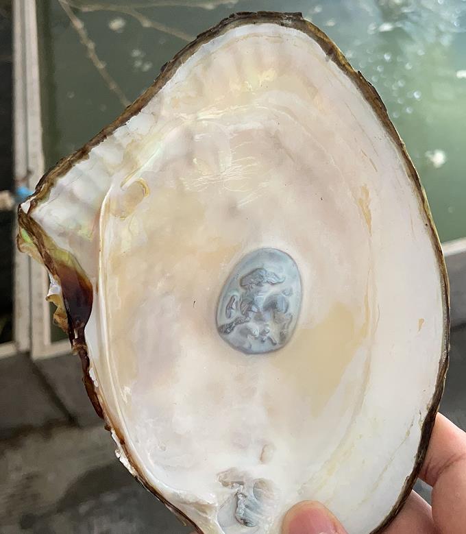 【Live】Twelve Chinese Zodiac Signs or Buddha(1 Clam Include One)